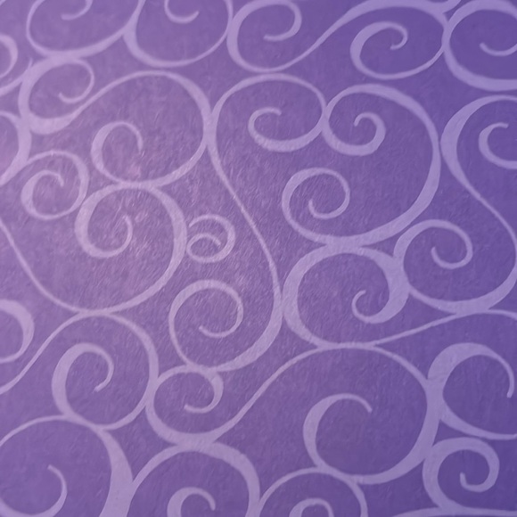 CTMH scrapbook paper - Picture 13 of 14